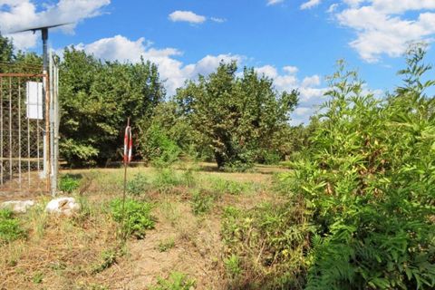 Terra a Riardo, Caserta, Riardo - € 180.000 | Ref: 19829 - foto 16