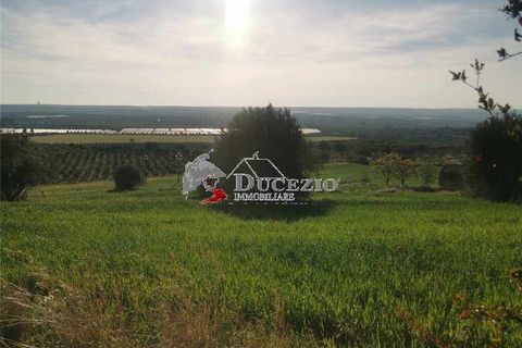 Helårsgrund i Noto, Siracusa, Noto - € 100.000 | Ref: 21T - foto 2