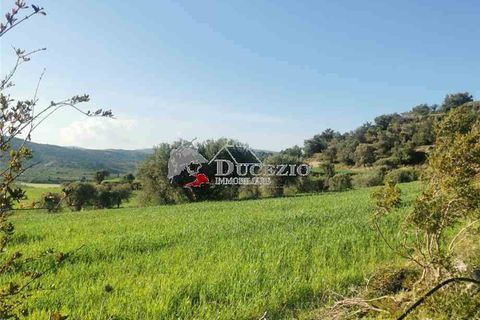 Helårsgrund i Noto, Siracusa, Noto - € 100.000 | Ref: 21T - foto 3