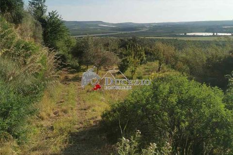 Helårsgrund i Noto, Siracusa, Noto - € 100.000 | Ref: 21T - foto 4