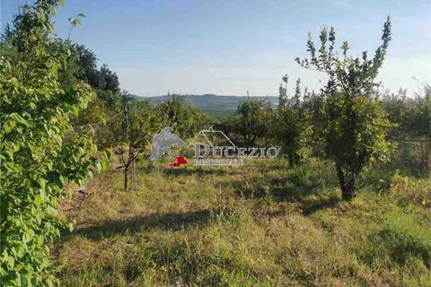 Helårsgrund i Noto, Siracusa, Noto - € 100.000 | Ref: 21T - foto 5