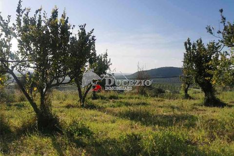 Helårsgrund i Noto, Siracusa, Noto - € 100.000 | Ref: 21T - foto 6