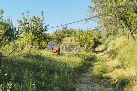 Helårsgrund i Noto, Siracusa, Noto - € 100.000 | Ref: 21T - foto 8