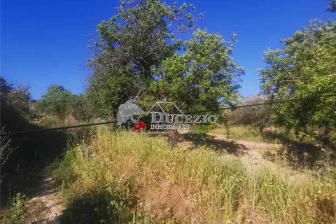 Helårsgrund i Noto, Siracusa, Noto - € 100.000 | Ref: 21T - foto 9
