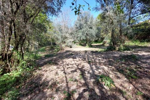 Helårsgrund i Amares, Braga, Amares - € 30.000 | Ref: 211628 - foto 2
