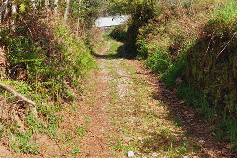 Helårsgrund i Amares, Braga, Amares - € 30.000 | Ref: 211628 - foto 4
