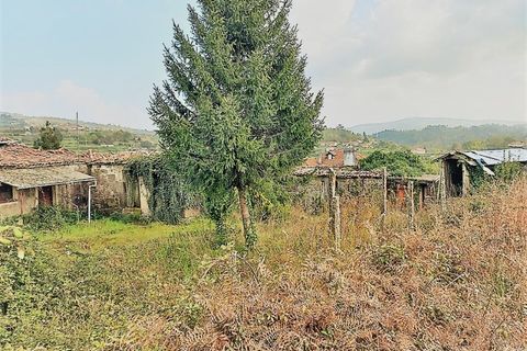 Villa a Paredes de Coura, Viana do Castelo, Paredes de Coura - € 85.000 | Ref: MDS3839 - foto 10