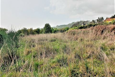 Villa a Paredes de Coura, Viana do Castelo, Paredes de Coura - € 85.000 | Ref: MDS3839 - foto 12