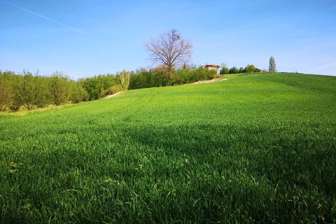 Terra a Govone, Cuneo, Govone - € 38.000 | Ref: 82391643 - foto 5