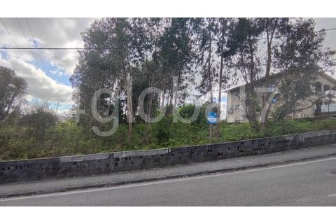 Grond in Sever do Vouga, Aveiro, Sever do Vouga - € 115.000 | Ref: TER_01234401 - foto 3