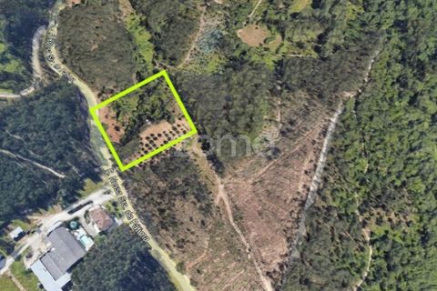 Helårsgrund i Leiria, Leiria, Leiria - € 75.000 | Ref: ZMPT556680 - foto 2