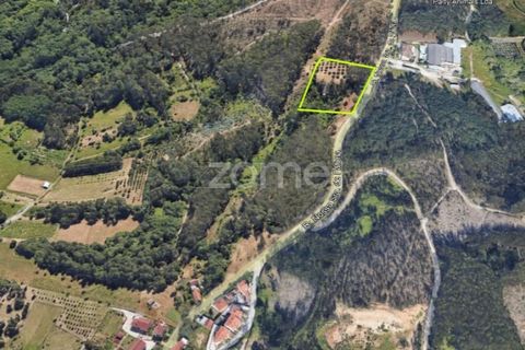 Helårsgrund i Leiria, Leiria, Leiria - € 75.000 | Ref: ZMPT556680 - foto 4