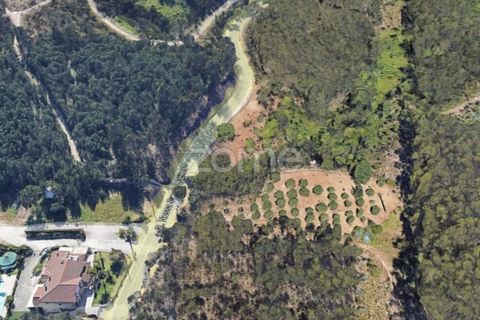 Helårsgrund i Leiria, Leiria, Leiria - € 75.000 | Ref: ZMPT556680 - foto 5