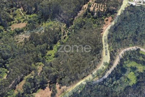 Helårsgrund i Leiria, Leiria, Leiria - € 75.000 | Ref: ZMPT556680 - foto 1