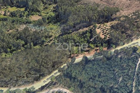 Helårsgrund i Leiria, Leiria, Leiria - € 75.000 | Ref: ZMPT556680 - foto 6