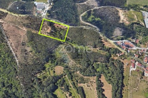 Helårsgrund i Leiria, Leiria, Leiria - € 75.000 | Ref: ZMPT556680 - foto 3