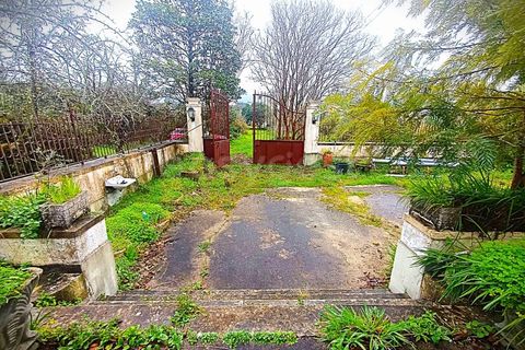Farm i Ourem, Santarem, Ourem - € 1.200.000 | Ref: TM92151 - foto 37