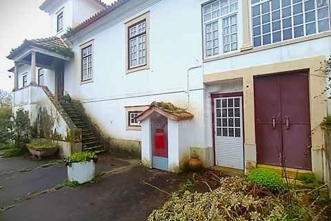 Farm i Ourem, Santarem, Ourem - € 1.200.000 | Ref: TM92151 - foto 39