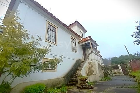 Farm i Ourem, Santarem, Ourem - € 1.200.000 | Ref: TM92151 - foto 40
