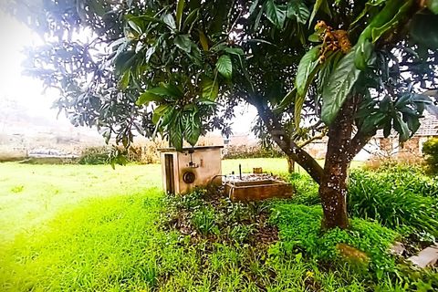 Farm i Ourem, Santarem, Ourem - € 1.200.000 | Ref: TM92151 - foto 43