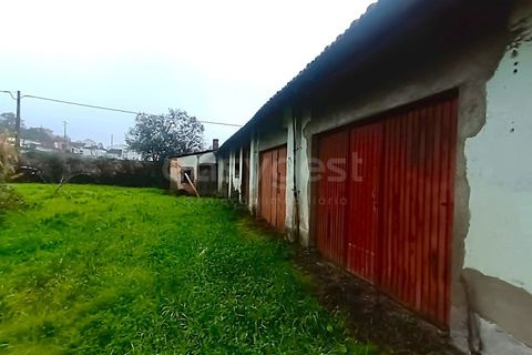 Farm i Ourem, Santarem, Ourem - € 1.200.000 | Ref: TM92151 - foto 45
