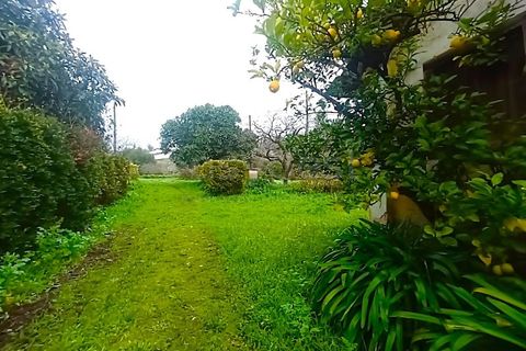 Farm i Ourem, Santarem, Ourem - € 1.200.000 | Ref: TM92151 - foto 47