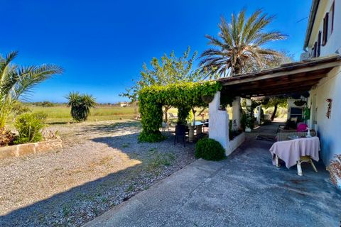 Villa a Port De Pollenca, Mallorca, Port De Pollenca - € 1.200.000 | Ref: 2040 - foto 11