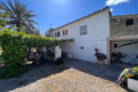Villa a Port De Pollenca, Mallorca, Port De Pollenca - € 1.200.000 | Ref: 2040 - foto 12