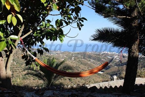 Villa em Torrox, Malaga, Torrox - € 1.875/mês | Ref: TRCP103 - foto 18
