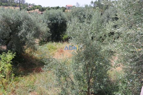 Villa a Amieira, Castelo Branco, Amieira - € 12.000 | Ref: ADN20017 - foto 14