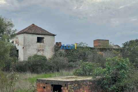 Ruinere i Castelo Branco, Castelo Branco, Castelo Branco - € 110.000 | Ref: ADN22007 - foto 5