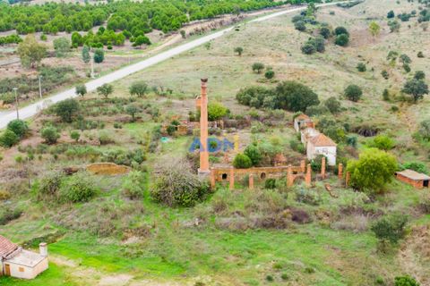 Ruinere i Castelo Branco, Castelo Branco, Castelo Branco - € 110.000 | Ref: ADN22007 - foto 7