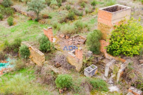 Ruinere i Castelo Branco, Castelo Branco, Castelo Branco - € 110.000 | Ref: ADN22007 - foto 13