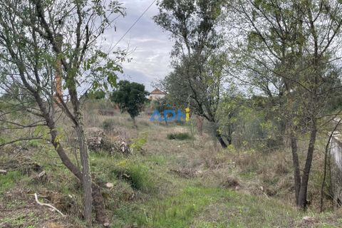 Ruinere i Castelo Branco, Castelo Branco, Castelo Branco - € 110.000 | Ref: ADN22007 - foto 15