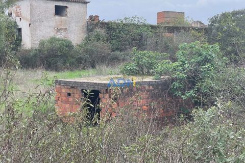 Ruinere i Castelo Branco, Castelo Branco, Castelo Branco - € 110.000 | Ref: ADN22007 - foto 17