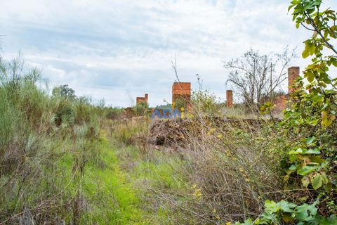 Ruinere i Castelo Branco, Castelo Branco, Castelo Branco - € 110.000 | Ref: ADN22007 - foto 22