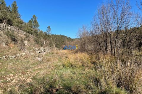 Helårsgrund i Castelo Branco, Castelo Branco, Castelo Branco - € 14.000 | Ref: ADN22011 - foto 2