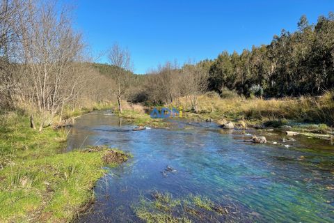 Helårsgrund i Castelo Branco, Castelo Branco, Castelo Branco - € 14.000 | Ref: ADN22011 - foto 4