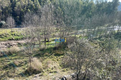 Helårsgrund i Castelo Branco, Castelo Branco, Castelo Branco - € 14.000 | Ref: ADN22011 - foto 8