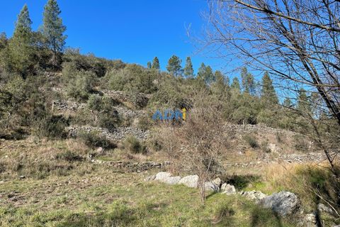 Helårsgrund i Castelo Branco, Castelo Branco, Castelo Branco - € 14.000 | Ref: ADN22011 - foto 9