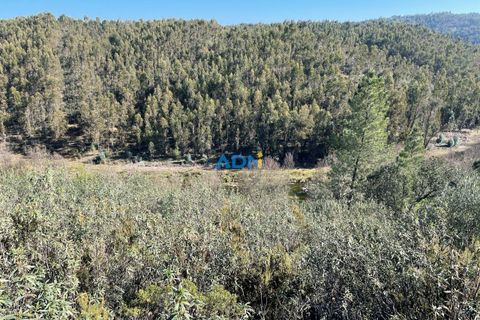 Helårsgrund i Castelo Branco, Castelo Branco, Castelo Branco - € 14.000 | Ref: ADN22011 - foto 10