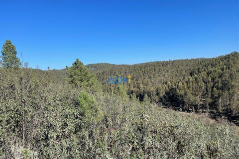 Helårsgrund i Castelo Branco, Castelo Branco, Castelo Branco - € 14.000 | Ref: ADN22011 - foto 11