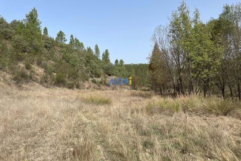 Helårsgrund i Castelo Branco, Castelo Branco, Castelo Branco - € 14.000 | Ref: ADN22011 - foto 12