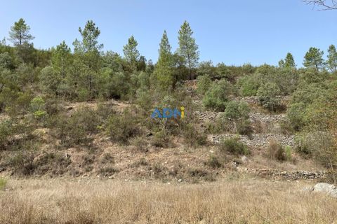 Helårsgrund i Castelo Branco, Castelo Branco, Castelo Branco - € 14.000 | Ref: ADN22011 - foto 15