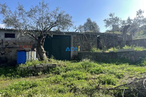 Helårsgrund i Castelo Branco, Castelo Branco, Castelo Branco - € 20.000 | Ref: ADN22037 - foto 4