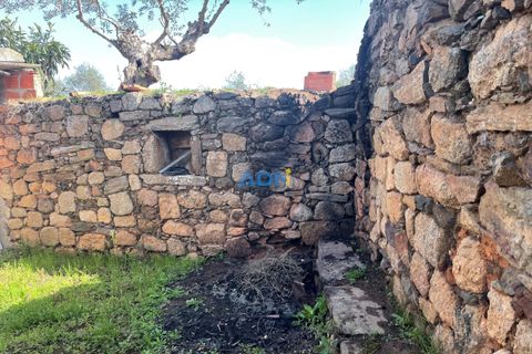 Helårsgrund i Castelo Branco, Castelo Branco, Castelo Branco - € 20.000 | Ref: ADN22037 - foto 8