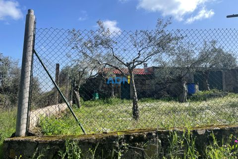 Helårsgrund i Castelo Branco, Castelo Branco, Castelo Branco - € 20.000 | Ref: ADN22037 - foto 13