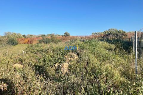 Helårsgrund i Castelo Branco, Castelo Branco, Castelo Branco - € 51.500 | Ref: ADN22050 - foto 2