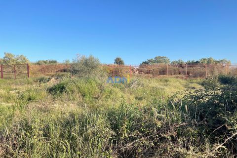 Helårsgrund i Castelo Branco, Castelo Branco, Castelo Branco - € 51.500 | Ref: ADN22051 - foto 6