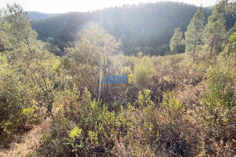 Helårsgrund i Castelo Branco, Castelo Branco, Castelo Branco - € 5.000 | Ref: ADN22066 - foto 7